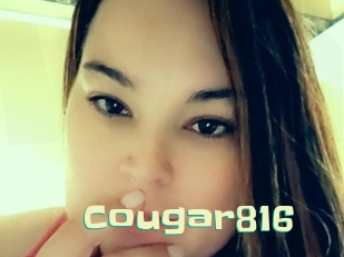 Cougar816
