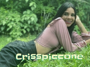crisspiccone Wanna Meet