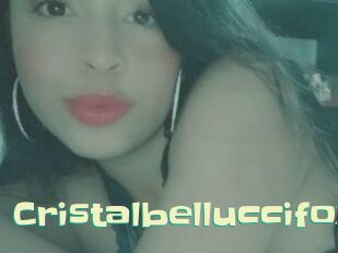 Cristalbelluccifox