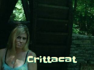 Crittacat