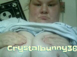 Crystalbunny36