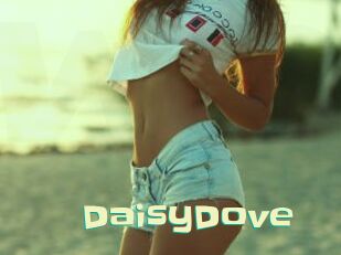 DaisyDove