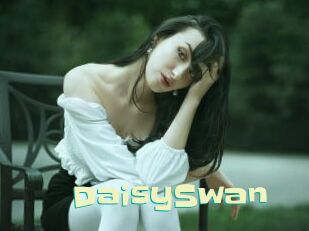 DaisySwan