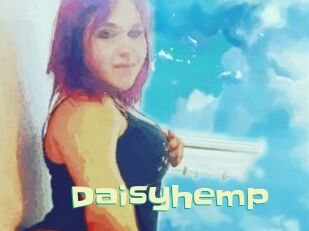 Daisy_hemp