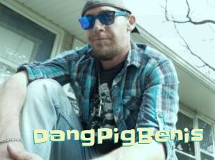 DangPigBenis Wanna Meet