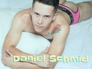 Daniel_Schmid