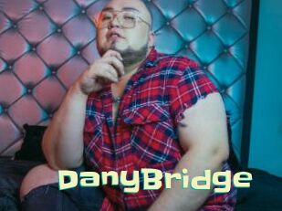 DanyBridge