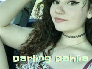 Darling_Dahlia