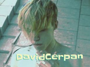 DavidCerpan Wanna Meet