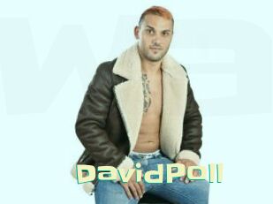 DavidPoll
