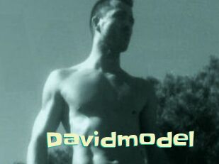 Davidmodel