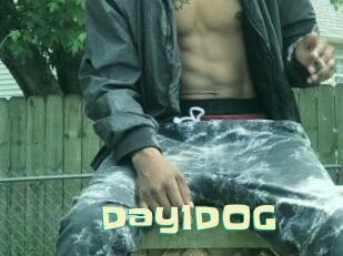 Day1DOG