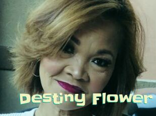 Destiny_Flower Wanna Meet