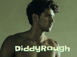 DiddyRough