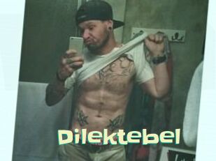 Dilektebel Wanna Meet