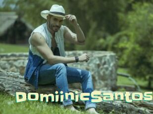 DomiinicSantos Wanna Meet