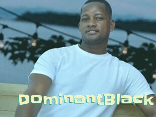DominantBlack
