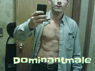 Dominantmale