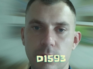d1593 Wanna Meet
