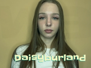 Daisyburland