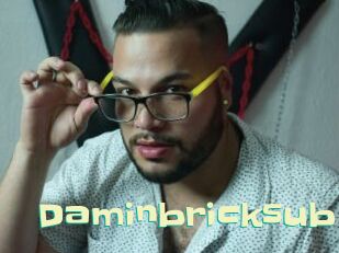 Daminbricksub