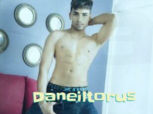 Daneil_torus