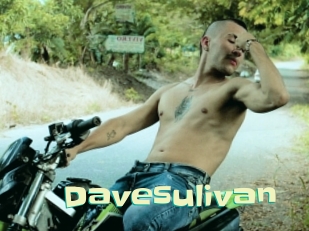 Davesulivan