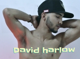 david_harlow Wanna Meet