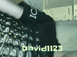 David1123