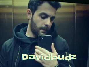 Davidbudz