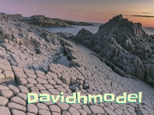 Davidhmodel