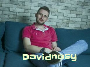 Davidnosy
