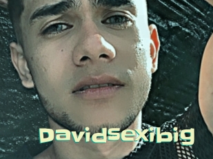 Davidsexibig