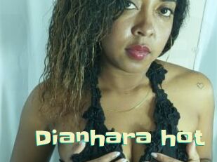 Dianhara_hot