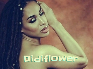 Didiflower