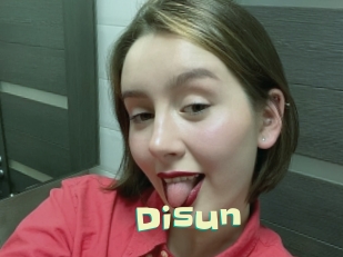 disun Wanna Meet