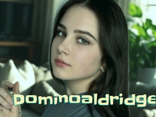 Dominoaldridge