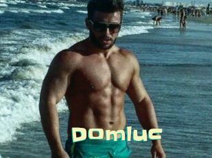 Domluc