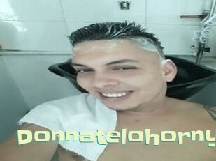 Donnatelohorny
