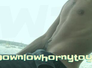 Downlowhornytoy