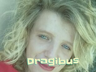 Dragibus
