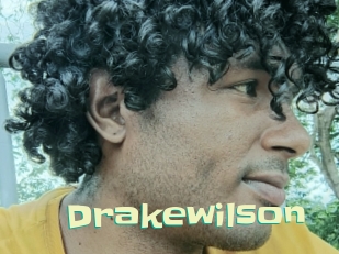 drakewilson Wanna Meet