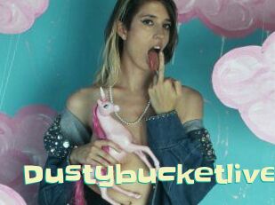 Dustybucketlive