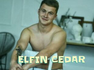 ELFIN_CEDAR