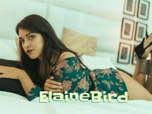 ElaineBird