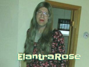 Elantra_Rose