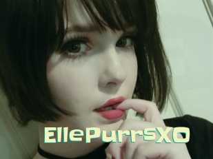 EllePurrsXO