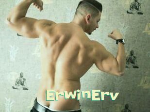 ErwinErv