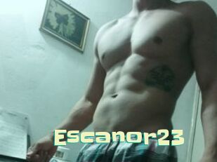 Escanor23 Wanna Meet