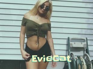 EvieCat